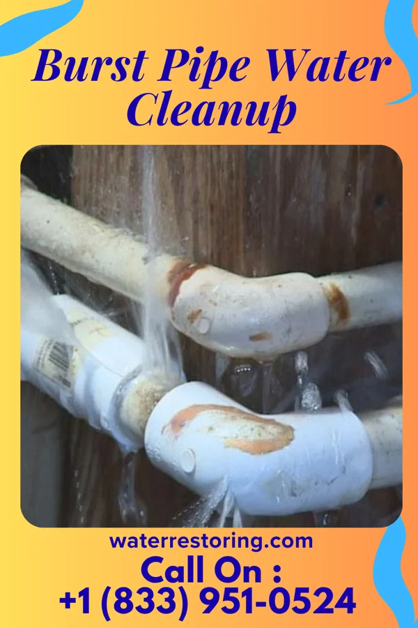 Burst Pipe Water Cleanup in Wainaku, HI