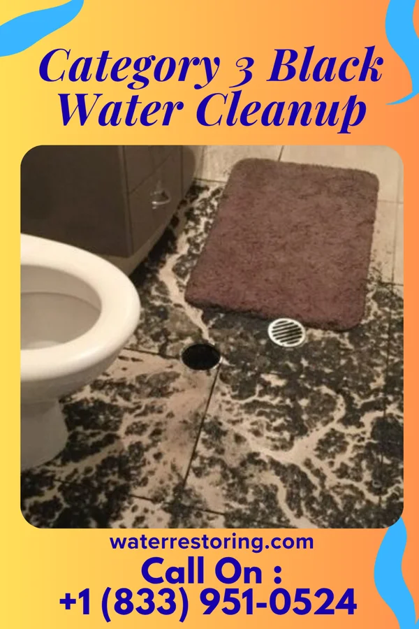 Category 3 Black Water Cleanup in Wainaku, HI