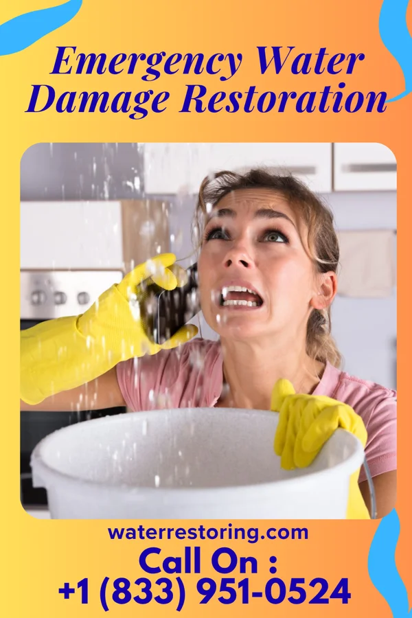 Emergency Water Damage Restoration in Wainaku, HI