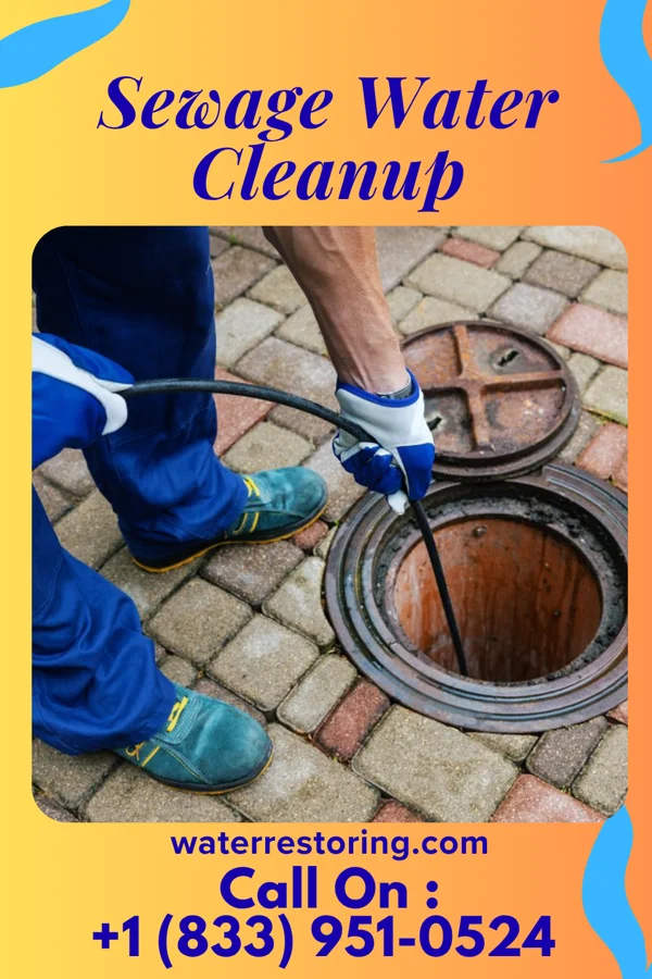 Sewage Water Cleanup in Wainaku, HI